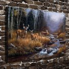 Animal deer Decor  20x16 inch FRAMED CANVAS PRINT