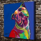 Colorful dog Animal Decor  20x16 inch FRAMED CANVAS PRINT