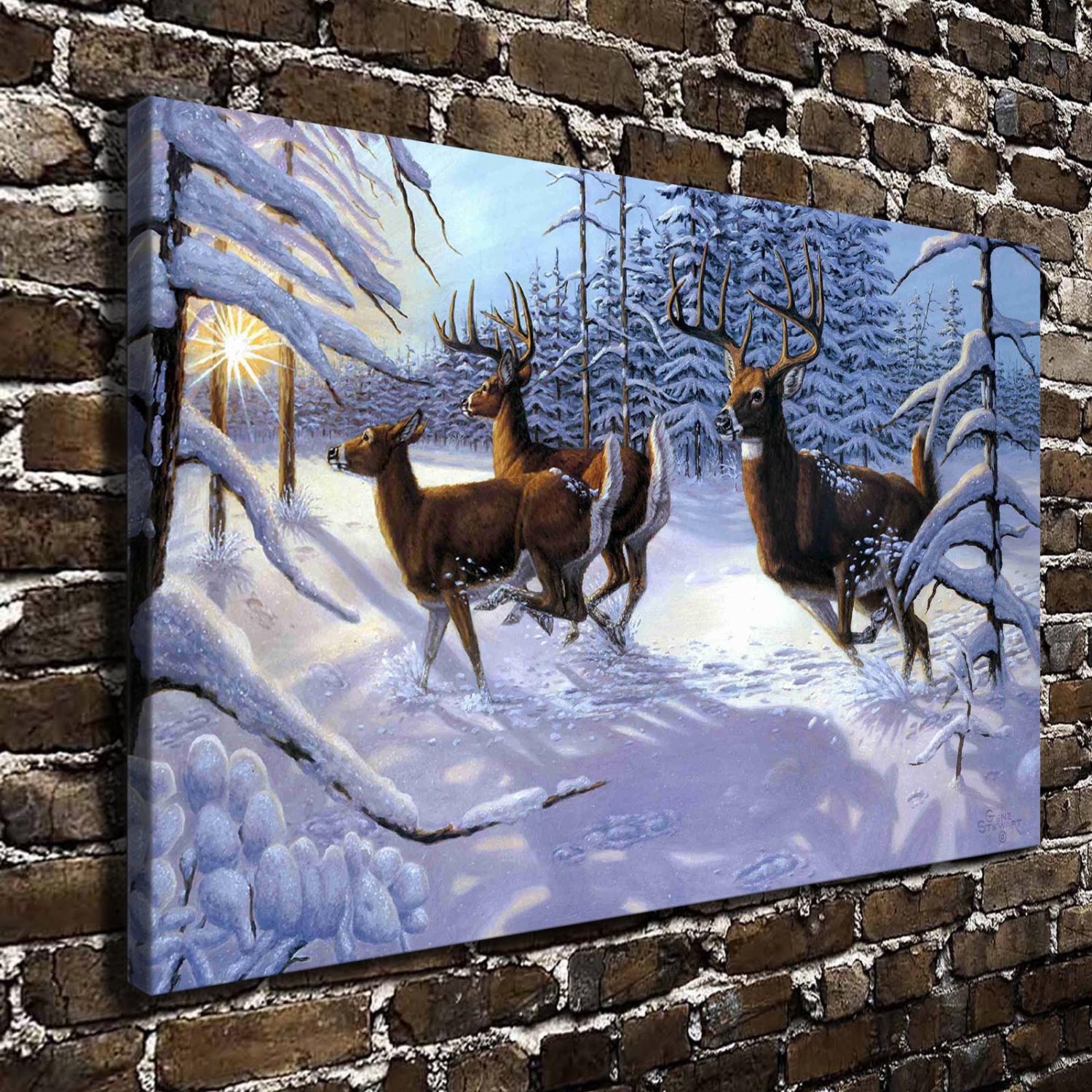 Winter Glory  20x16 inch FRAMED CANVAS PRINT