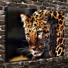 East of the Sun Cheetah  20x16 inch FRAMED CANVAS PRINT