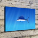 Animals & fish  20x16 inch FRAMED CANVAS PRINT