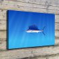 Animals & fish  20x16 inch FRAMED CANVAS PRINT