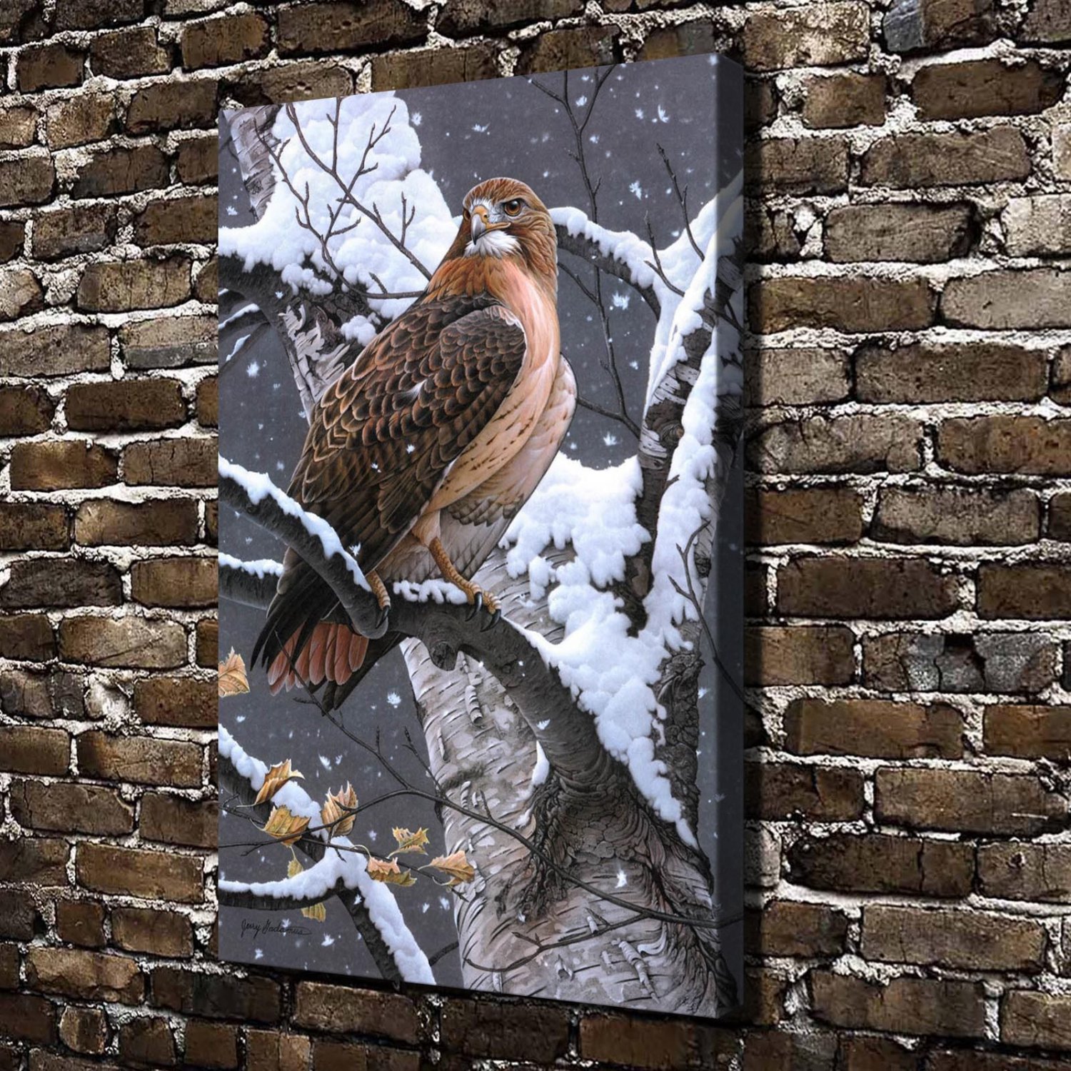 Lady Hawk Eagle Animals  20x16 inch FRAMED CANVAS PRINT