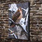 Lady Hawk Eagle Animals  20x16 inch FRAMED CANVAS PRINT