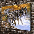 Body Language Wolf Animal  20x16 inch FRAMED CANVAS PRINT