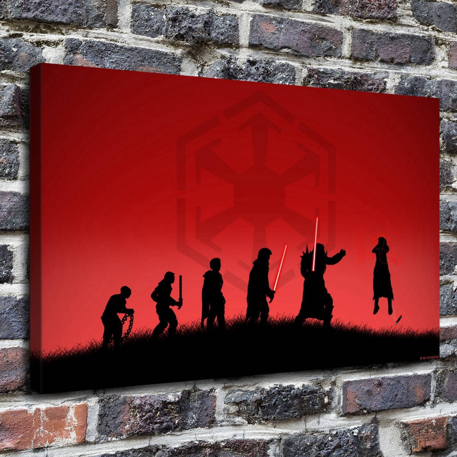 Evolution sith  20x16 inch FRAMED CANVAS PRINT