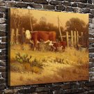 Keeping close 1970 Cows  20x16 inch FRAMED CANVAS PRINT