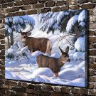 Animal Snow deer  20x16 inch FRAMED CANVAS PRINT