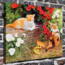 Persis Clayton Veyrs  20x16 inch FRAMED CANVAS PRINT
