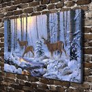 Deer The Woods Printing  20x16 inch FRAMED CANVAS PRINT
