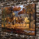 Family Reunion Deer Animal  20x16 inch FRAMED CANVAS PRINT