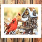 The red bird  20x16 inch FRAMED CANVAS PRINT
