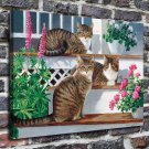 Persis Clayton Weirs  20x16 inch FRAMED CANVAS PRINT