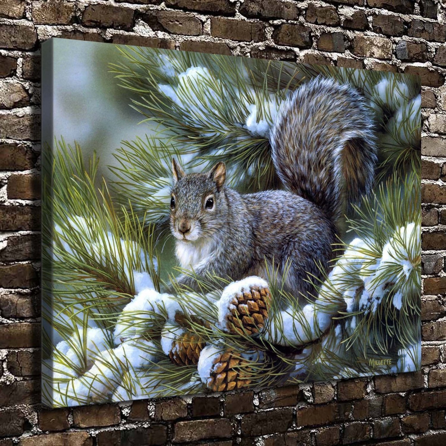 Squirrel Animals  20x16 inch FRAMED CANVAS PRINT