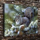 Squirrel Animals  20x16 inch FRAMED CANVAS PRINT