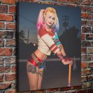Harley Quinn  20x16 inch FRAMED CANVAS PRINT