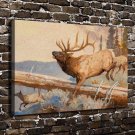 Jumping Deer Animal  20x16 inch FRAMED CANVAS PRINT