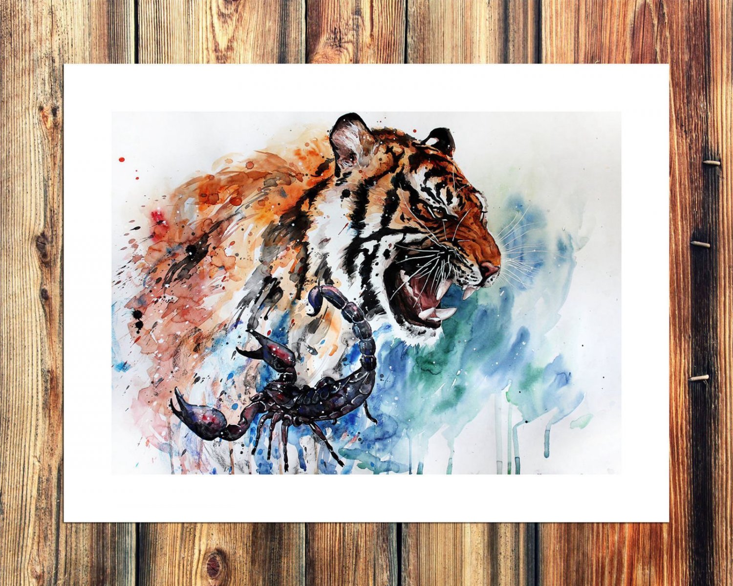 Tiger and scorpion  20x16 inch FRAMED CANVAS PRINT