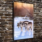 Winter Silence Wolf Animal  20x16 inch FRAMED CANVAS PRINT