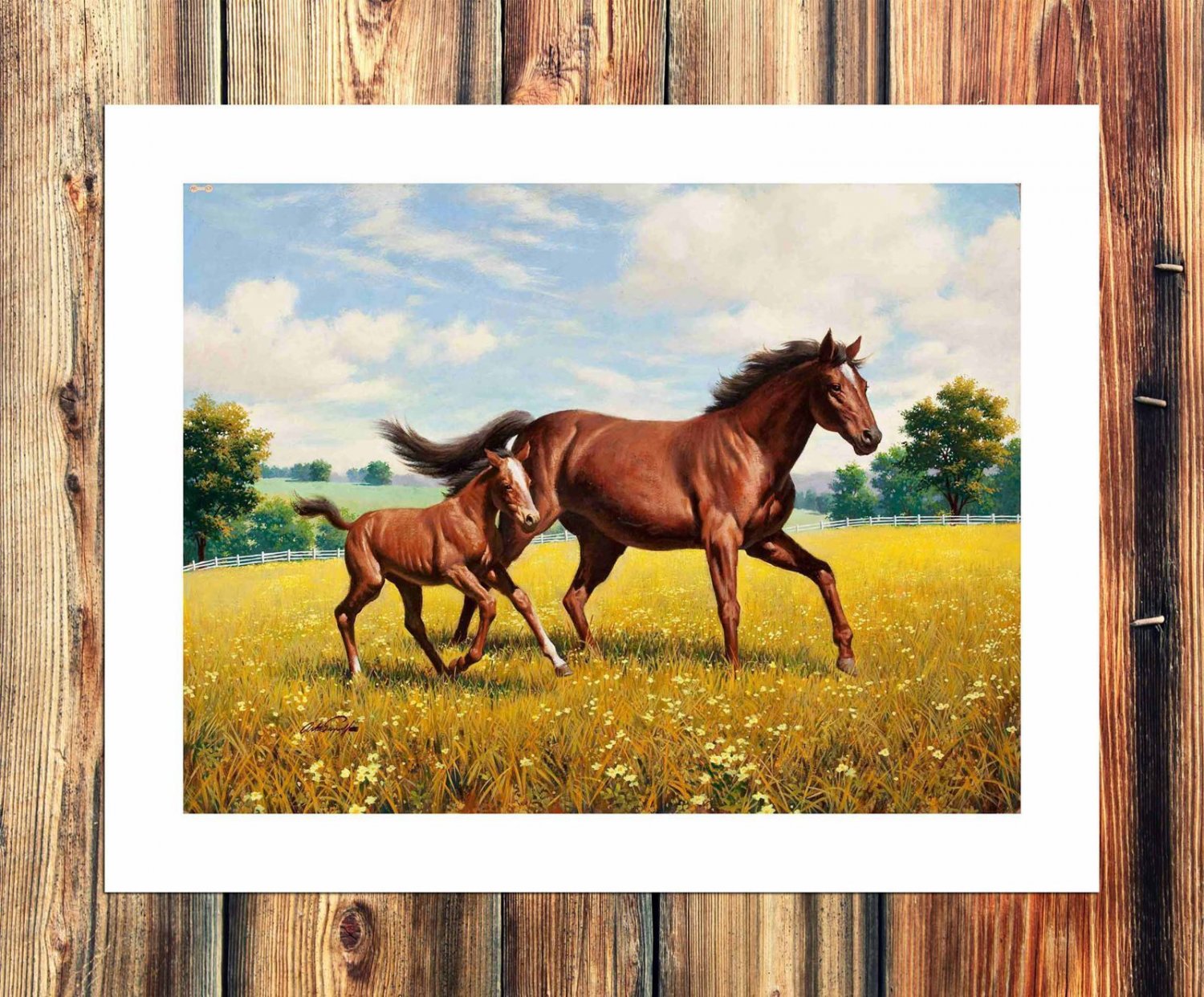Yellow flower ping  20x16 inch FRAMED CANVAS PRINT