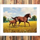 Yellow flower ping  20x16 inch FRAMED CANVAS PRINT