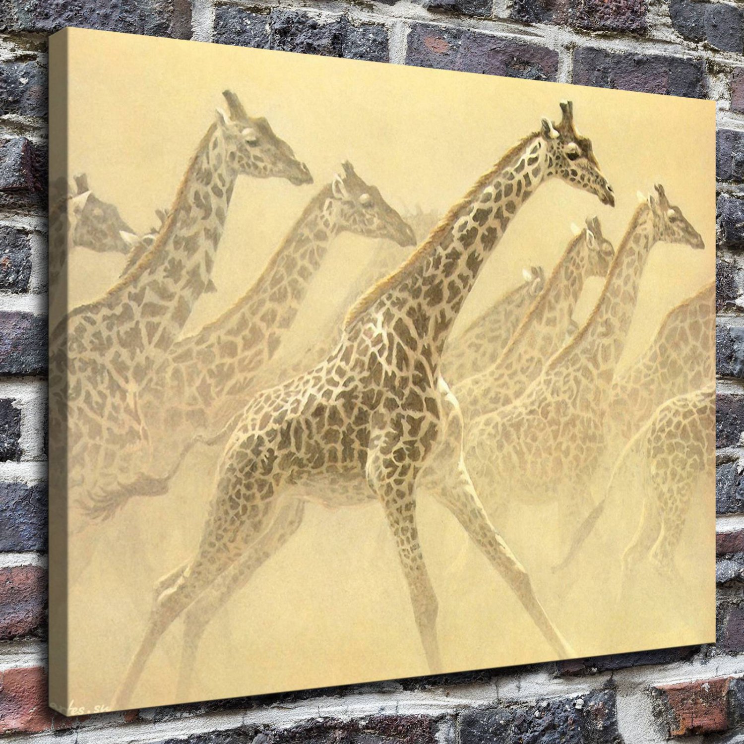 Giraffes 20x16 FRAMED CANVAS PRINT