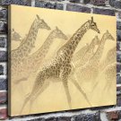 Giraffes  20x16 inch FRAMED CANVAS PRINT