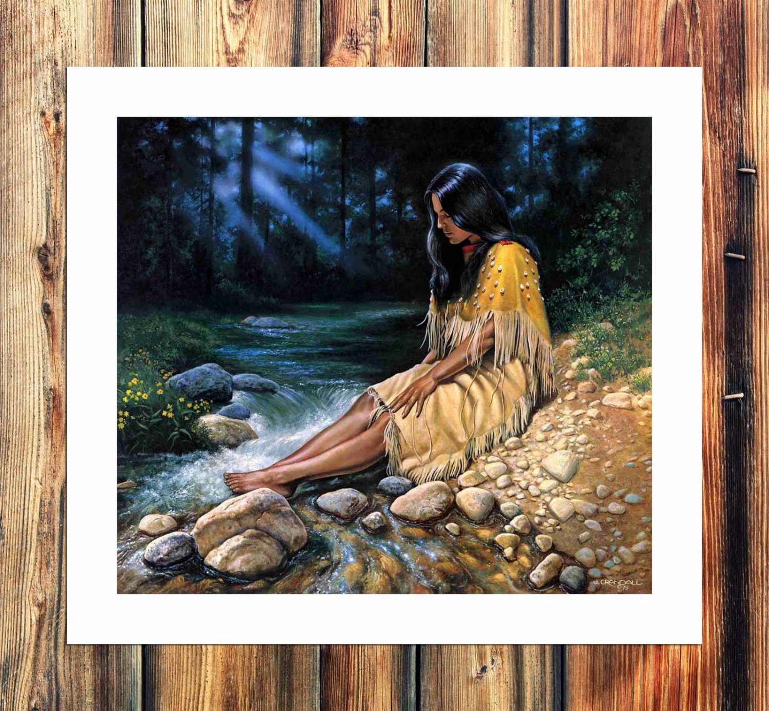 Erry Crandall Solitude  20x16 inch FRAMED CANVAS PRINT