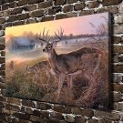 Wilderness Deer Animal  20x16 inch FRAMED CANVAS PRINT
