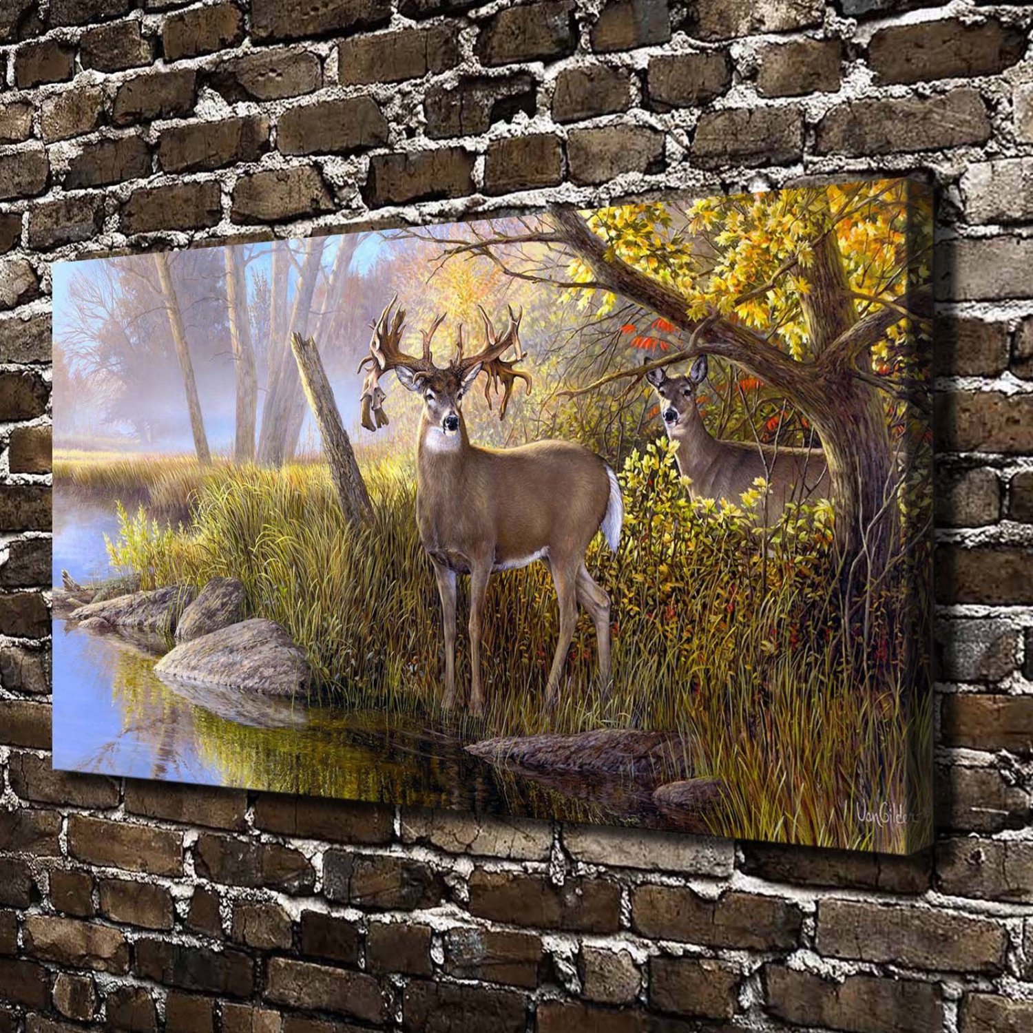 White-tailed Deer  20x16 inch FRAMED CANVAS PRINT