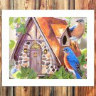 Beautiful bird's nest  20x16 inch FRAMED CANVAS PRINT