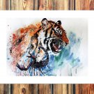 Tiger and scorpion  20x16 inch FRAMED CANVAS PRINT