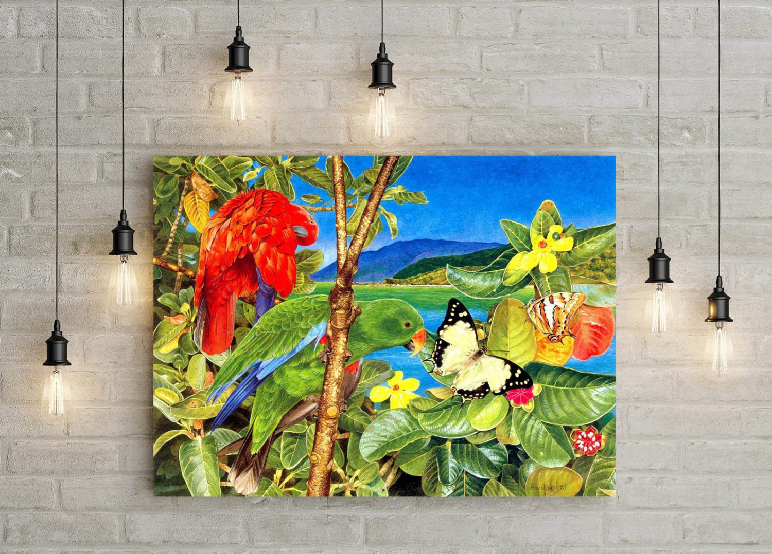 Eclectus Bird Animal  20x16 inch FRAMED CANVAS PRINT