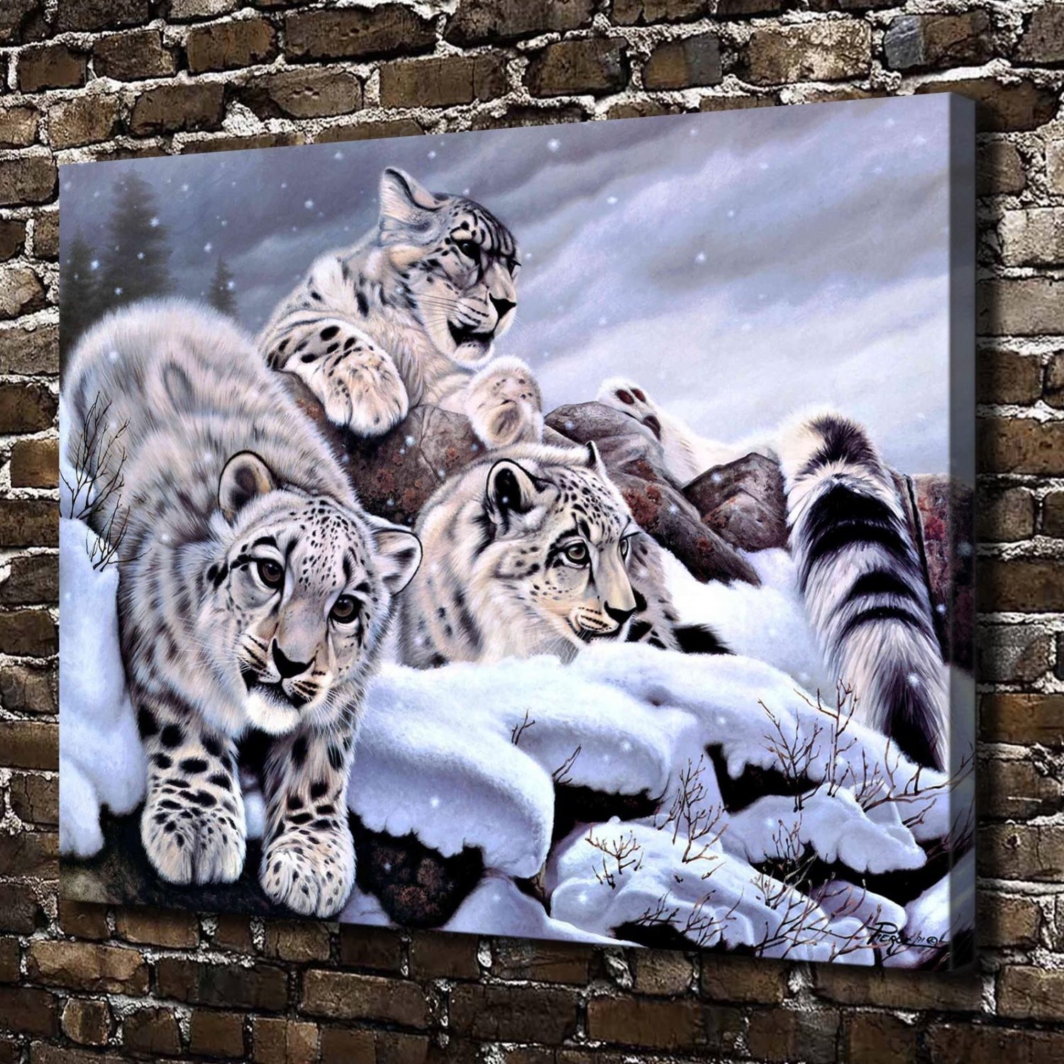 Snow leopard Animals  20x16 inch FRAMED CANVAS PRINT