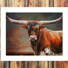 Ox horn pointed  20x16 inch FRAMED CANVAS PRINT