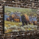 The prairie yak  20x16 inch FRAMED CANVAS PRINT
