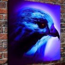 Blue Bird  20x16 inch FRAMED CANVAS PRINT