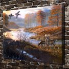 Animal Deer Duck Pond  20x16 inch FRAMED CANVAS PRINT