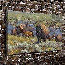 The prairie yak  20x16 inch FRAMED CANVAS PRINT