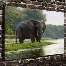 Magnificent animal  20x16 inch FRAMED CANVAS PRINT