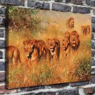 Wild animals, lions  20x16 inch FRAMED CANVAS PRINT