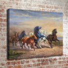37-Animal Horse Landscape  20x16 inch FRAMED CANVAS PRINT