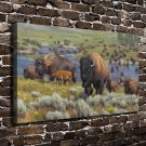 The prairie yak Animals  20x16 inch FRAMED CANVAS PRINT