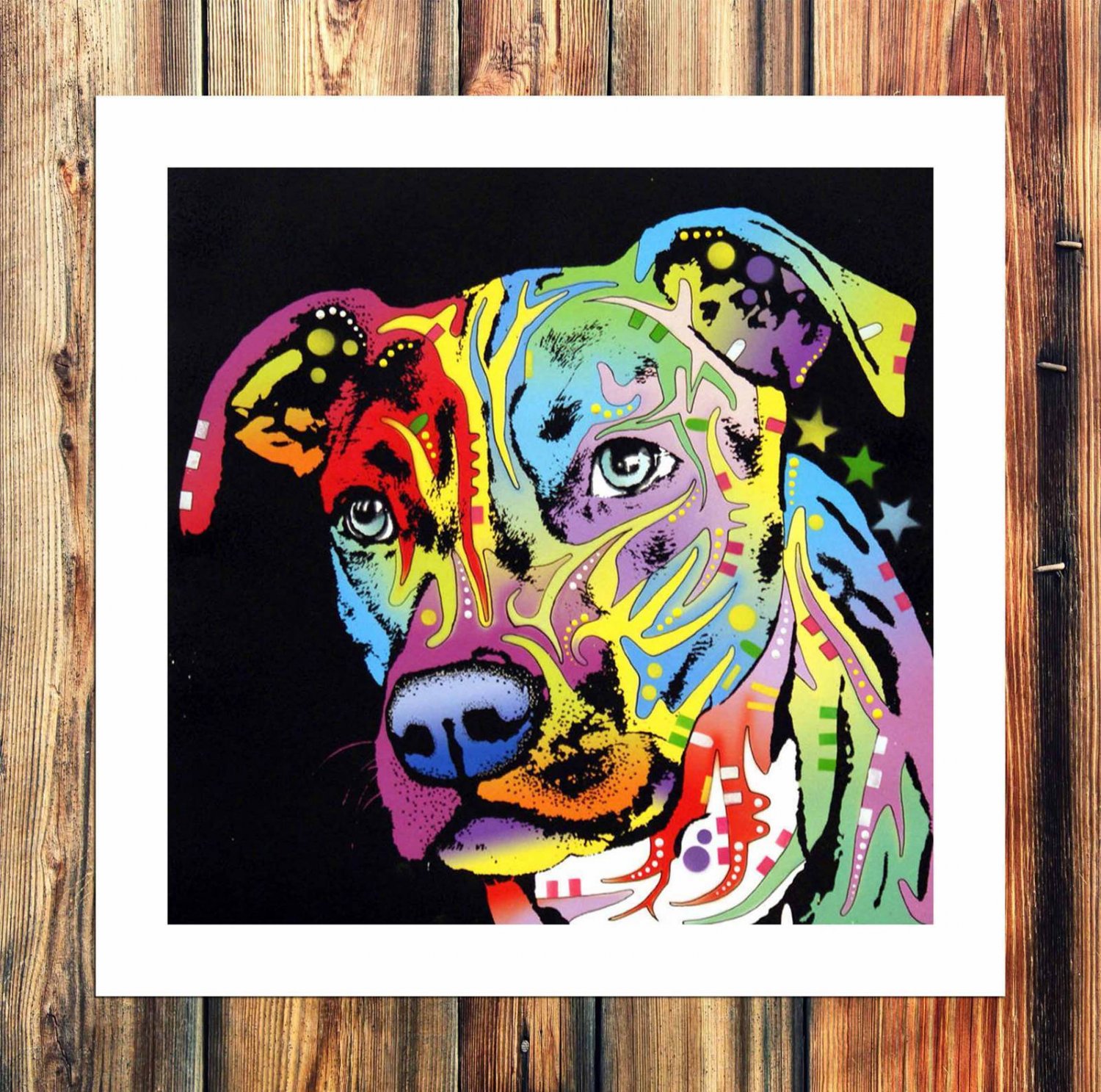 C oon luck thing  20x16 inch FRAMED CANVAS PRINT