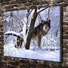Return of Hunter Wolf  20x16 inch FRAMED CANVAS PRINT