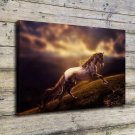 Horse Clouds Landscape  20x16 inch FRAMED CANVAS PRINT