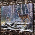 Warframe Animal  20x16 inch FRAMED CANVAS PRINT
