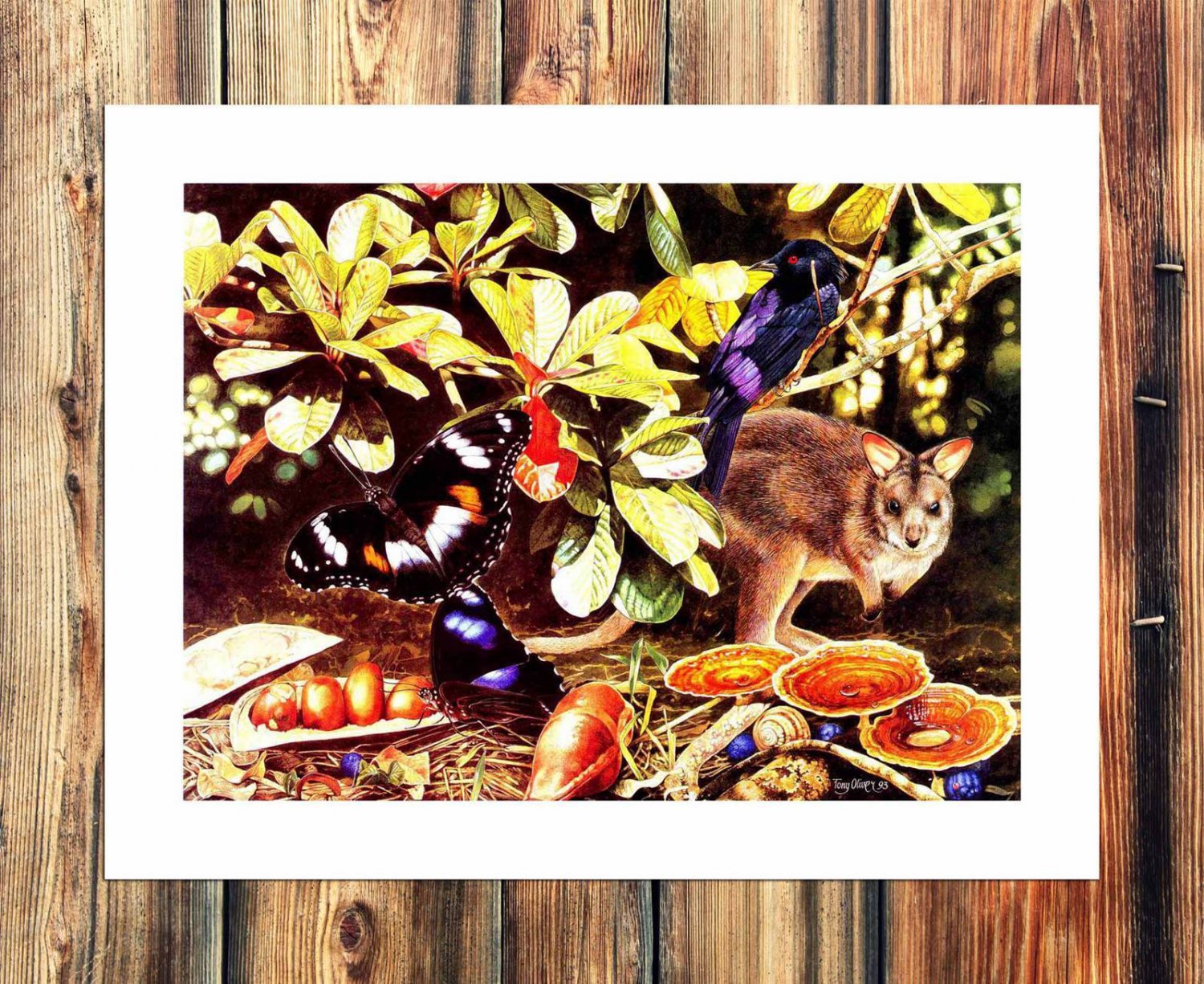 A cute little squirrel  20x16 inch FRAMED CANVAS PRINT