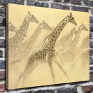Giraffes  20x16 inch FRAMED CANVAS PRINT