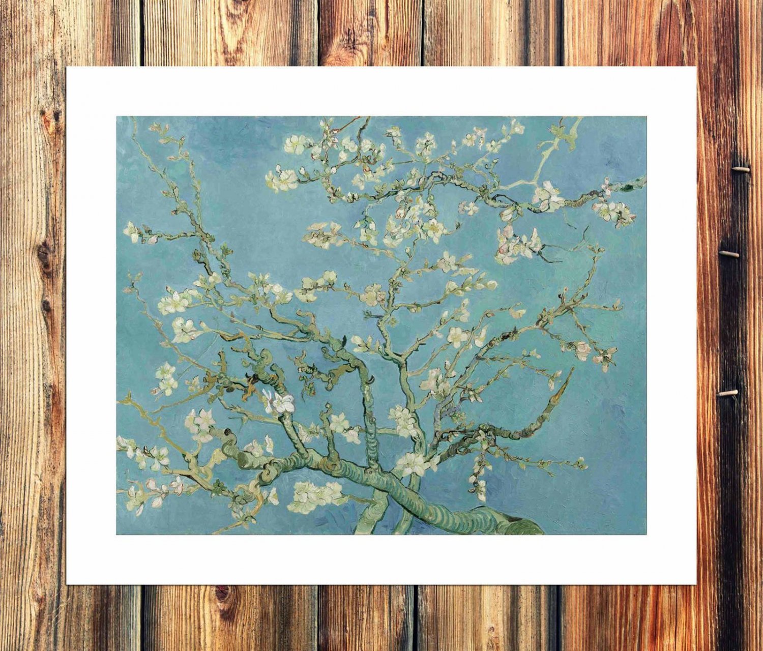 Branches in Bloom  20x16 inch FRAMED CANVAS PRINT